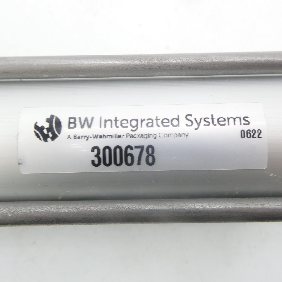 BW INTEGRATED SYSTEMS 300678 NSNP