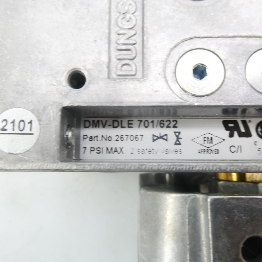 DUNGS 267067 DMV-DLE701/622 7PSI NSMP