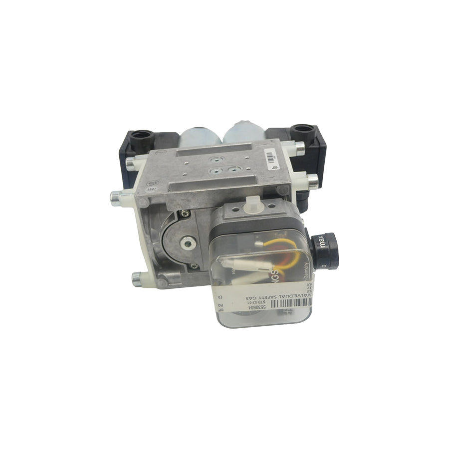 DUNGS 244165 DMV-DLE703/624L 7PSI NSNP