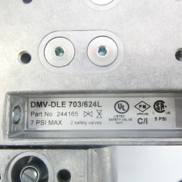 DUNGS 244165 DMV-DLE703/624L 7PSI NSNP