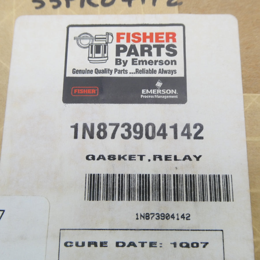 FISHER 1N873904142 NSFS