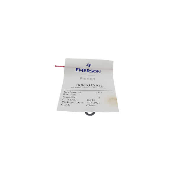 EMERSON 18B6035X012 NSMP