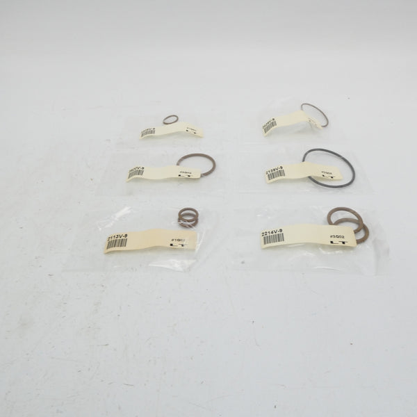 PARKER SKSR6MV NSMP