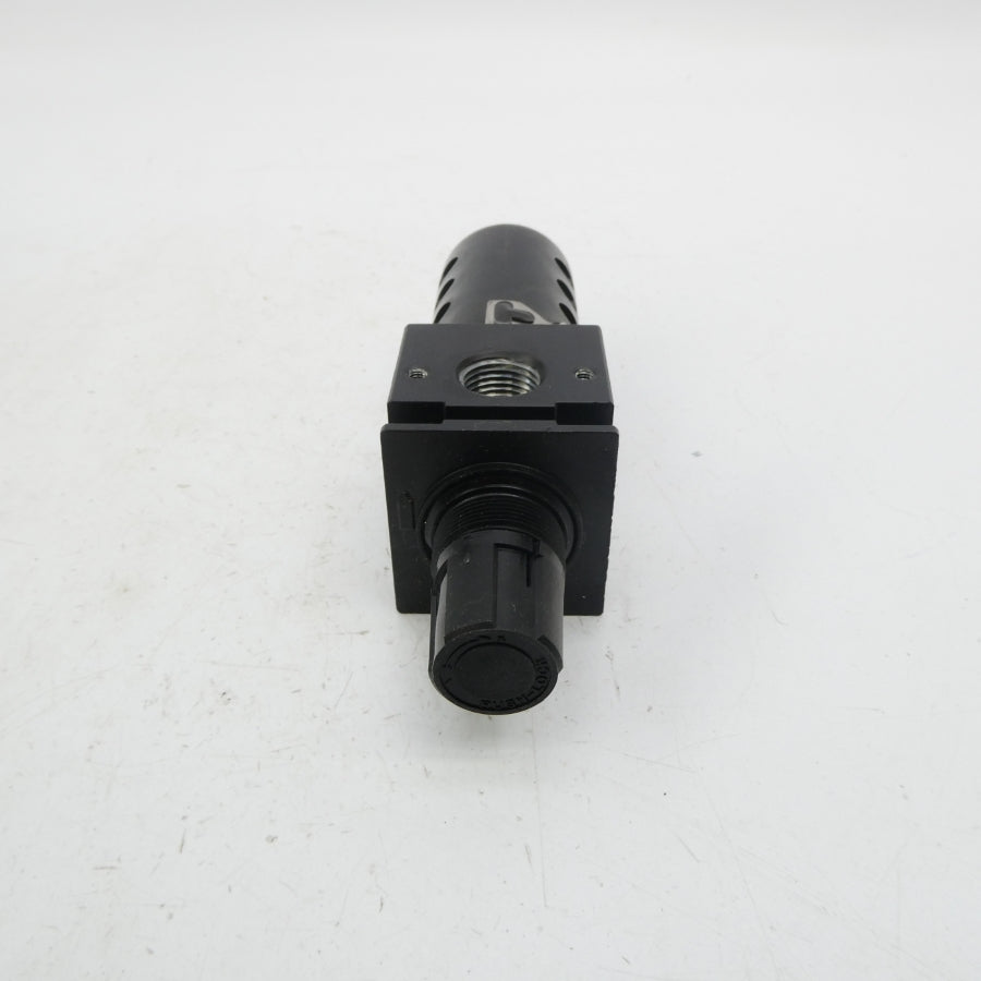 SANDPIPER 020.104.000 150PSI 1/4" NSMP