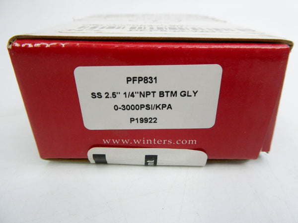 WINTERS PFP831 0-3000PSI NSMP