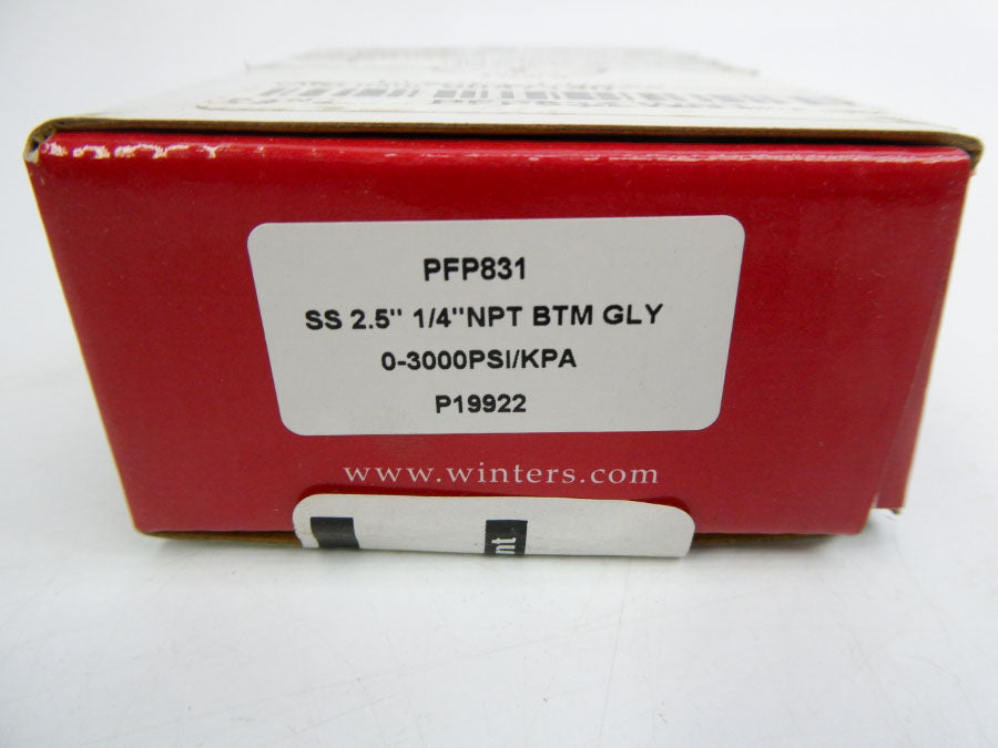 WINTERS PFP831 0-3000PSI NSMP