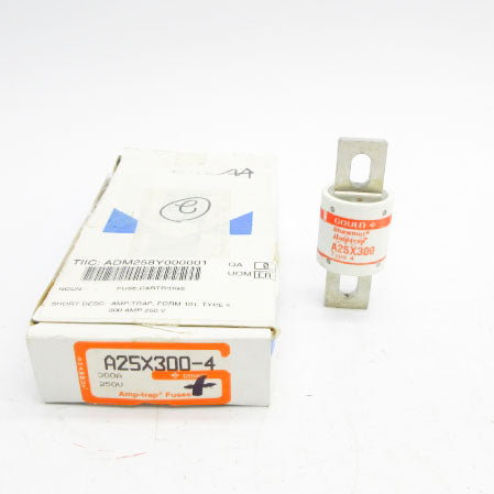 GOULD A25X3004 250VAC 300A NSMP