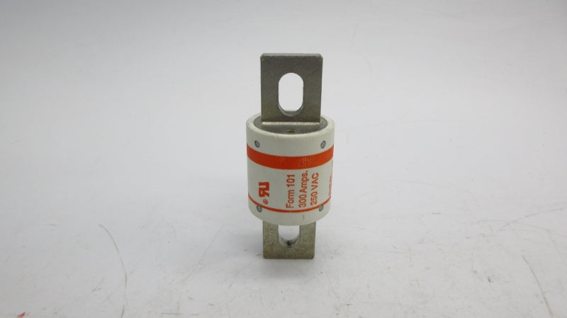 GOULD A25X3004 250VAC 300A NSMP