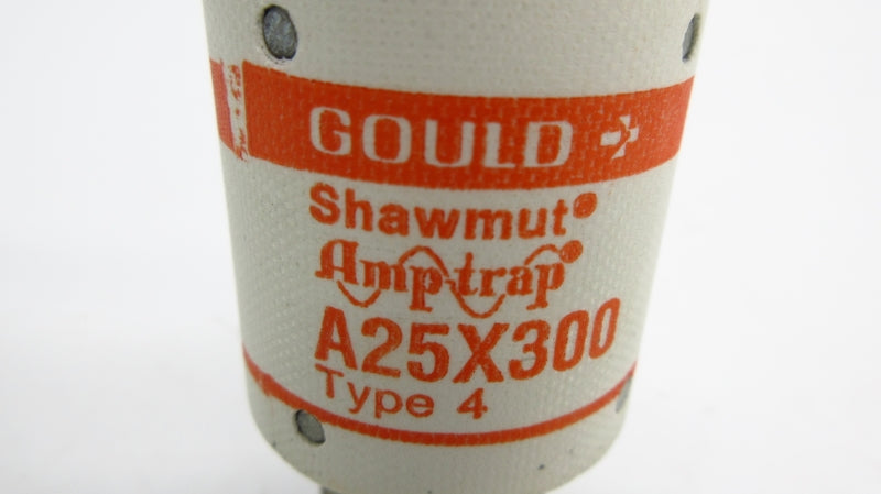 GOULD A25X3004 250VAC 300A NSMP