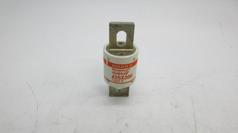 GOULD A25X3004 250VAC 300A (PKG OF 5) NSMP