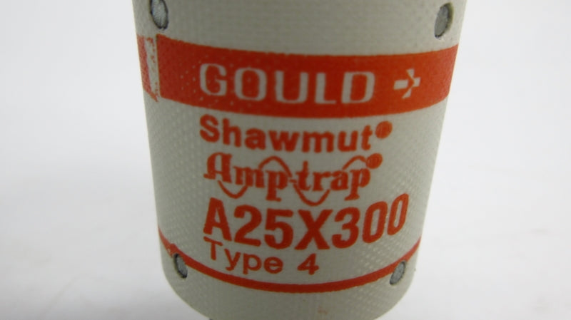 GOULD A25X3004 250VAC 300A (PKG OF 5) NSMP