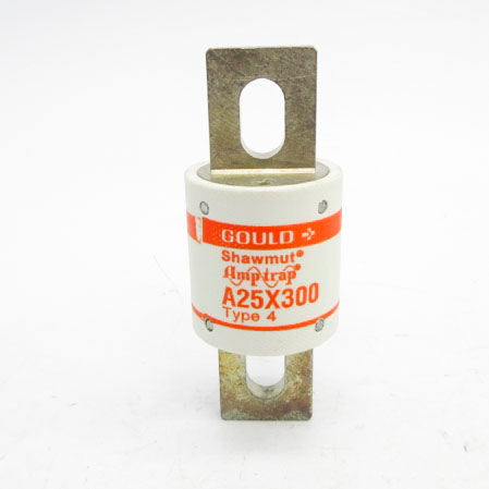 GOULD A25X3004 250VAC 300A NSNP