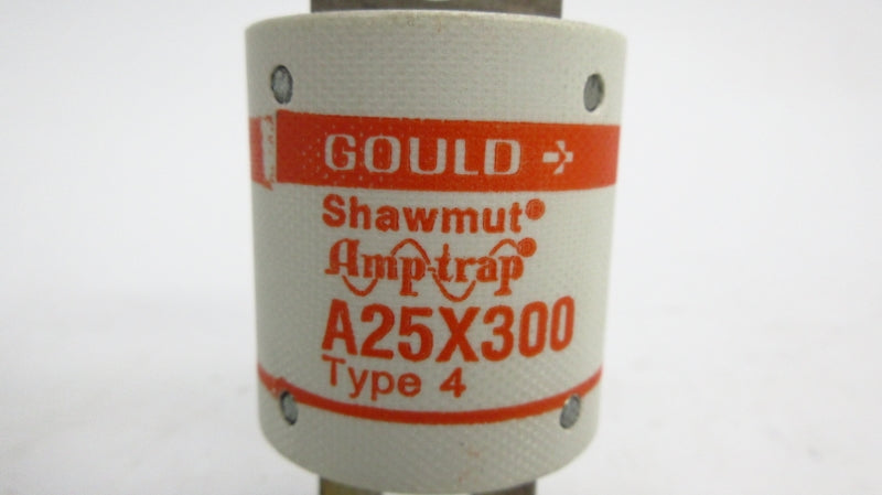 GOULD A25X3004 250VAC 300A NSNP