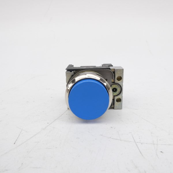 PUSH BUTTON G/201028 NSNP