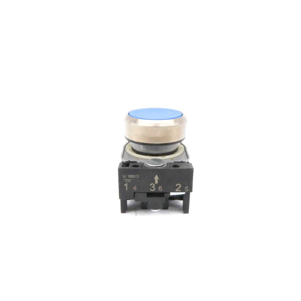 PUSH BUTTON G/180613 NSNP