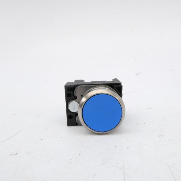 PUSH BUTTON G/180613 NSNP