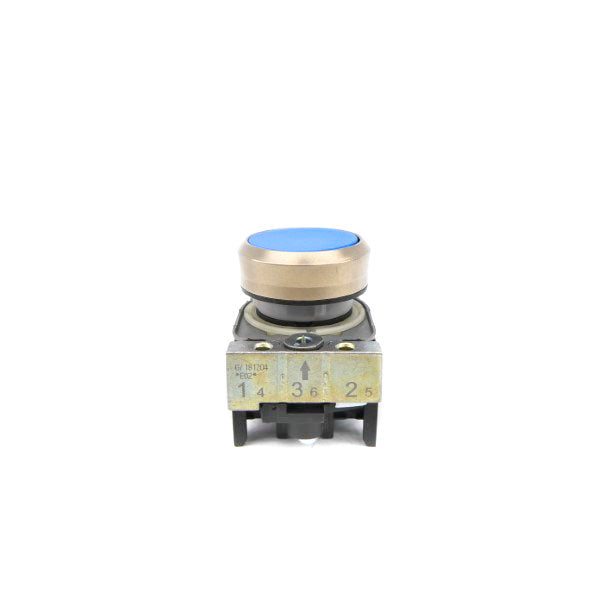 PUSH BUTTON G/181204 NSNP