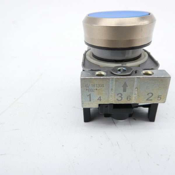 PUSH BUTTON G/181204 NSNP