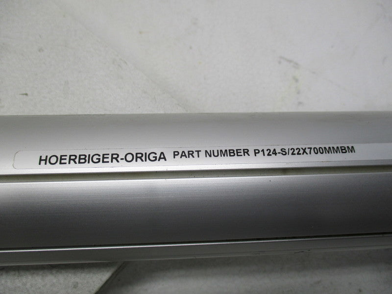 HOERBIGER P124-S/22X700MMBM RODLESS CYLINDER  NSNP
