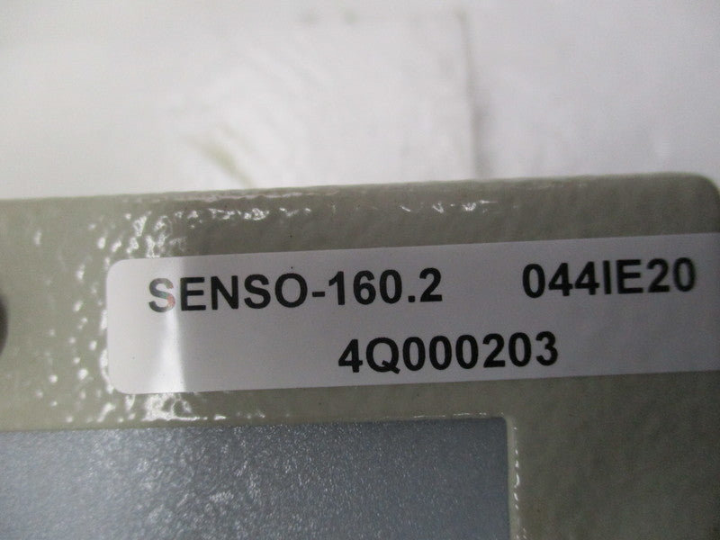 SENSO 160.2 (044IE20) (4Q000203)  NSNP