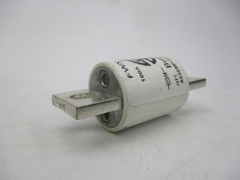 BUSSMANN FWX-100A 250VAC 100A (WH/WH) NSMP