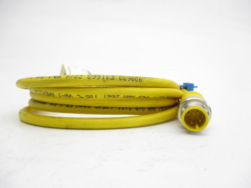 LUMBERG AUTOMATION 600000597 RST4-633/2M 250V 4A UNMP