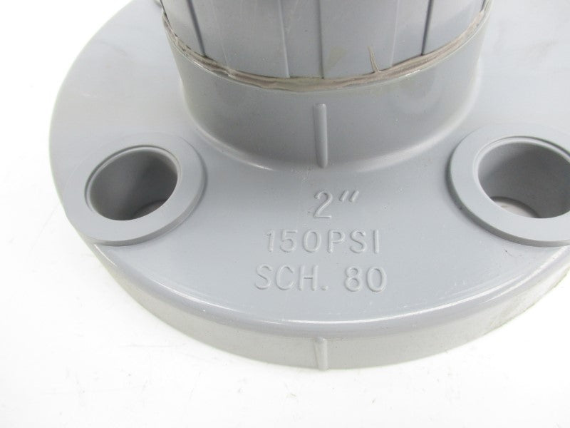 HAYWARD NSF/ANSI61 150PSI 2" NSNP