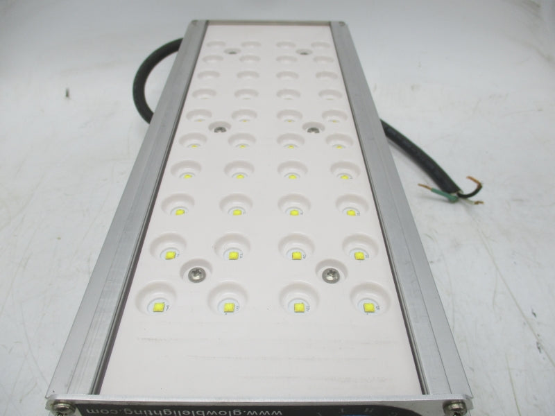 GLOWBLE EF-SERIES 100-277VAC 0.6A UNMP