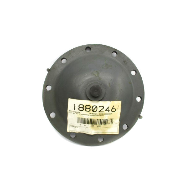 HYPALON RXXD000P000060R NSNP