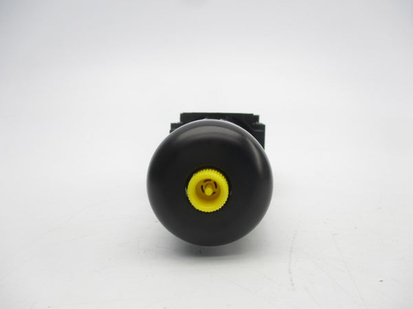 34203083 NSNP