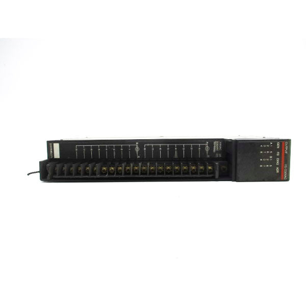 FANUC IC655MDL575B 115/230VAC 10A (NO DOOR) UNMP