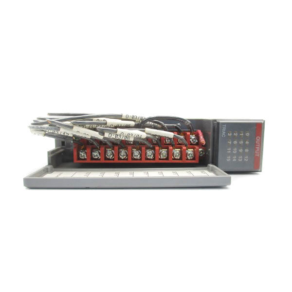 ALLEN BRADLEY 1746-OA16 SER. D 85-265VAC UNMP