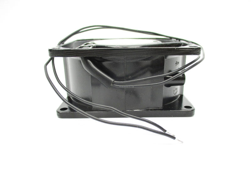 DAYTON 4WT41 230V 0.08A NSMP