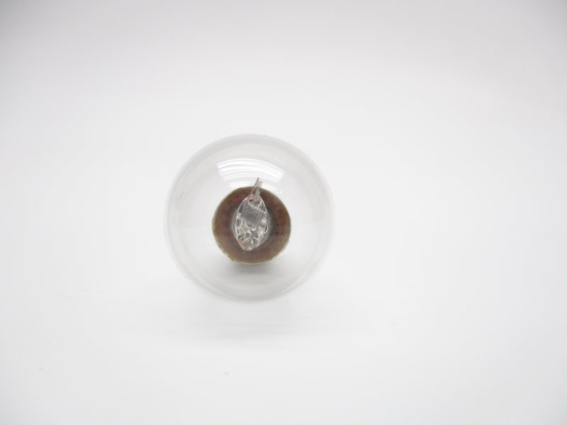 BULB OP-2118 6V NSMP