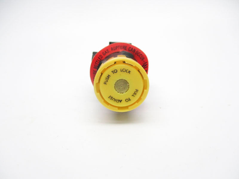 REGULATOR 43426301 250PSI 175'F NSNP