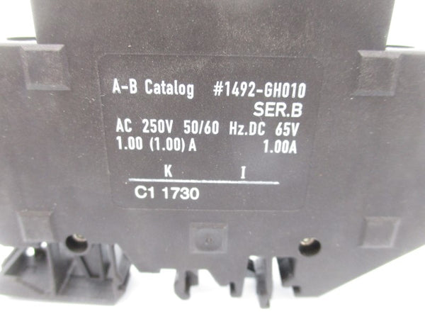 ALLEN BRADLEY 1492-GH010 SER. B 250VAC 1.0A (WH) NSMP