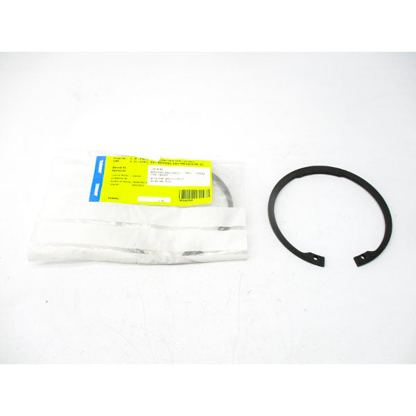 ANDRITZ 132016786 DIN472 (PKG OF 2) NSMP