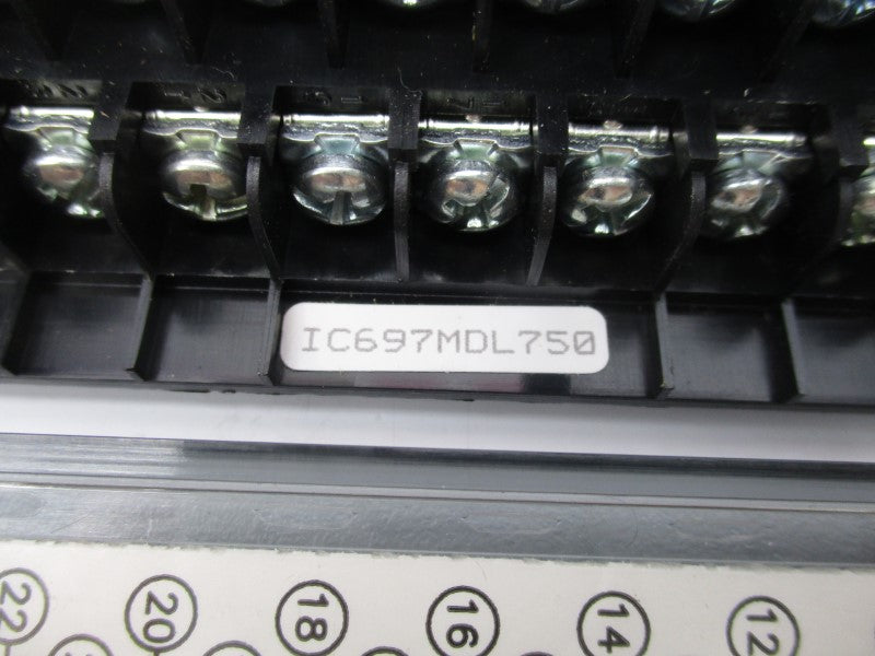 GE FANUC IC697MDL750D 24/48VDC 0.5A NSMP