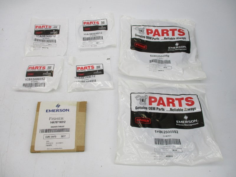 FISHER R1061X00682 NSMP