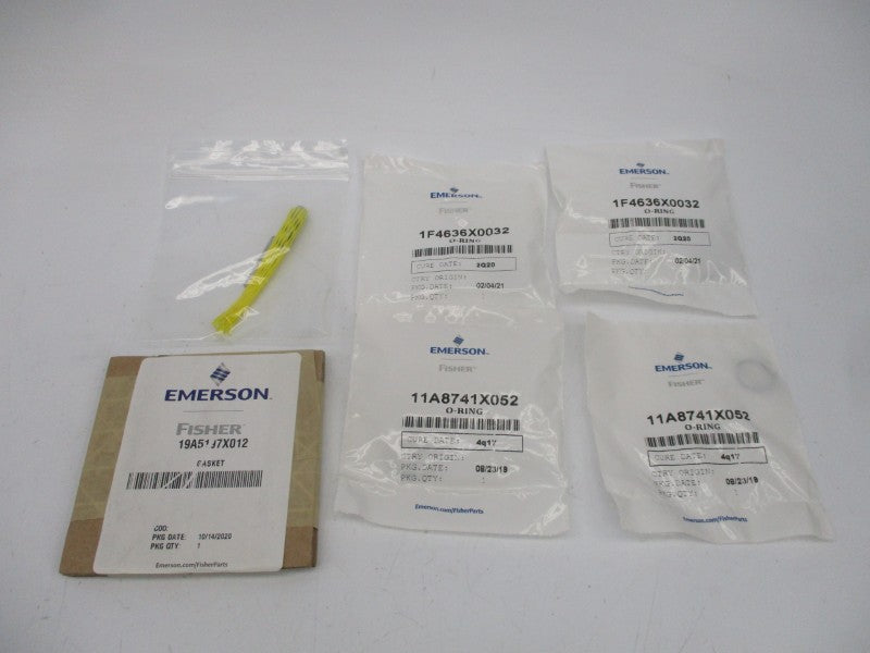 FISHER RV500X00032 NSMP