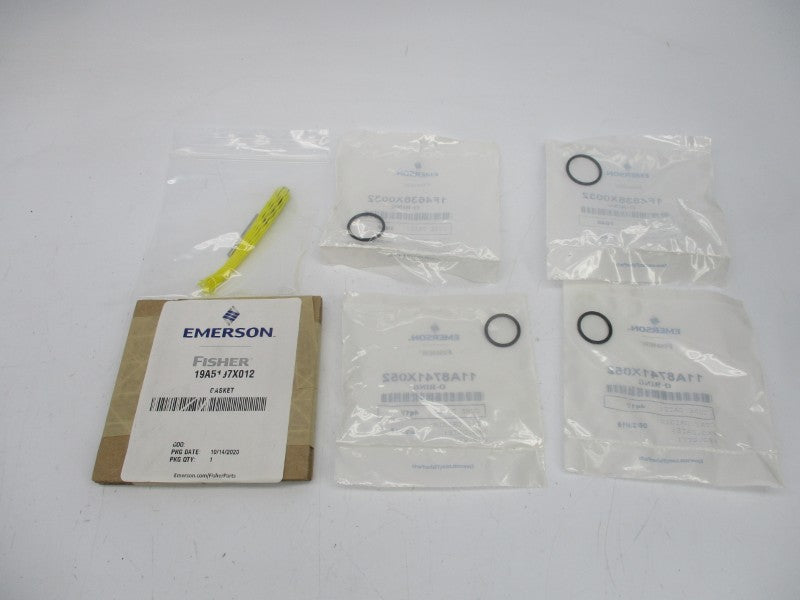 FISHER RV500X00032 NSMP