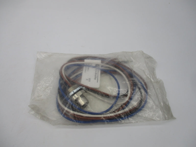 ALLEN BRADLEY 888D-F4AE1-1 SER. B 250VAC/DC 4A NSMP