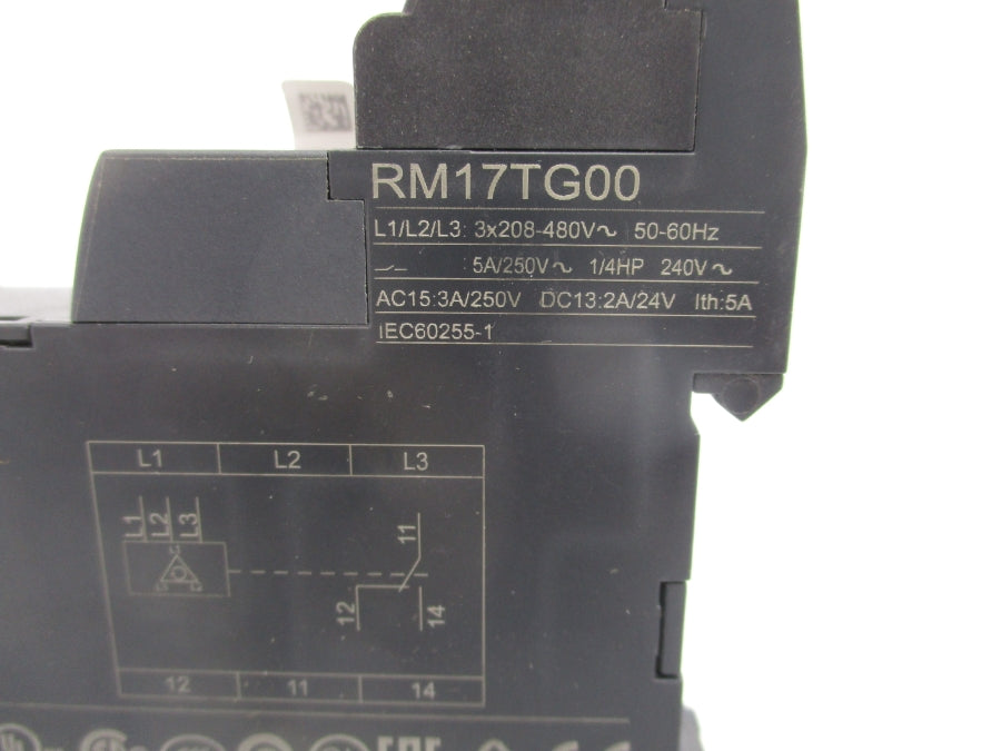SCHNEIDER ELECTRIC RM17TG00 250VAC 3A NSNP