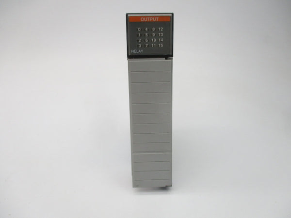 ALLEN BRADLEY 1746-OW16 SER. D DATE: 2010 (BR/WH) NSMP