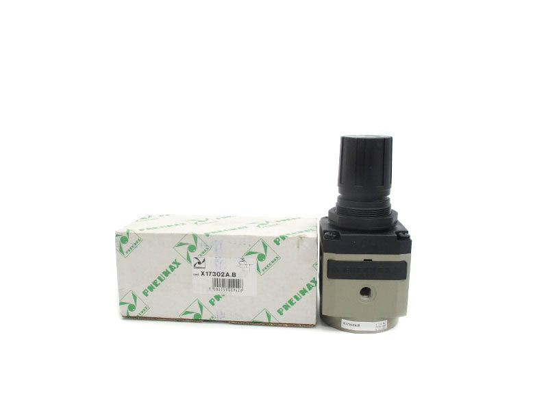 PNEUMAX X17302A.B NSMP