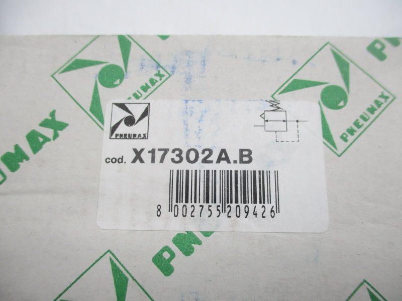 PNEUMAX X17302A.B NSMP
