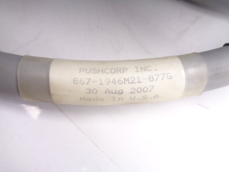PUSHCORP 867-1946M21-877G NSNP