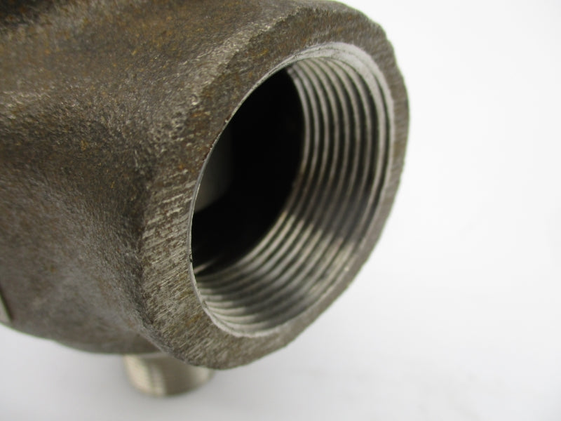 WATTS 866EEDA-A 3/4" NSNP