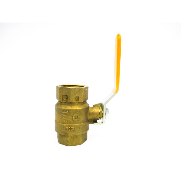 WATTS FBV-3C 1-1/4" NSNP