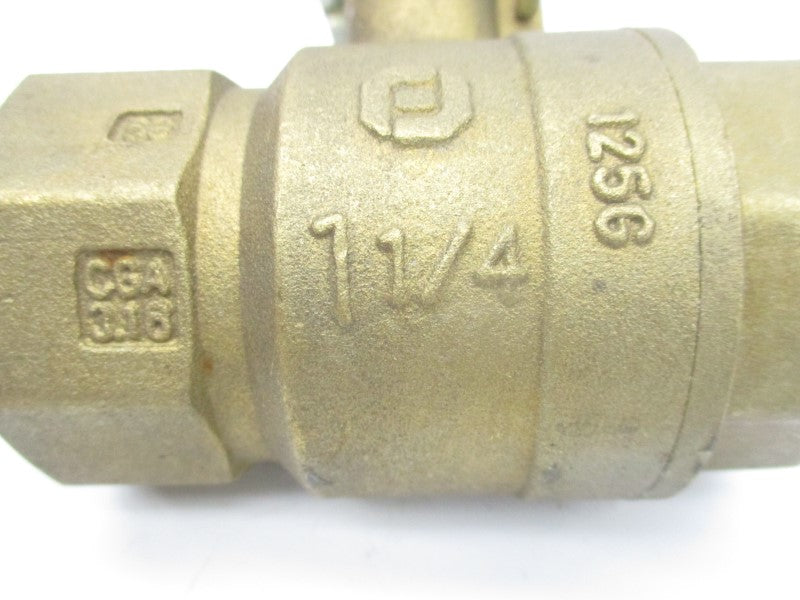 WATTS FBV-3C 1-1/4" NSNP